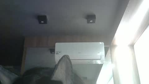 skinnykittencam online show from 05-24-26, 04:01