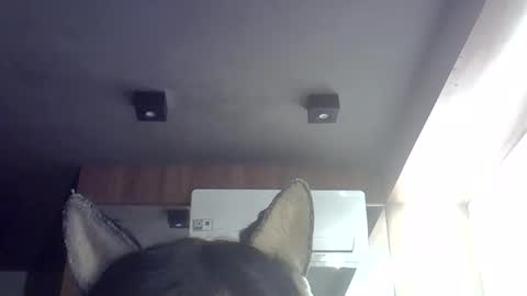 skinnykittencam online show from 05-29-26, 09:29