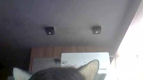 skinnykittencam online show from 05-30-26, 07:00