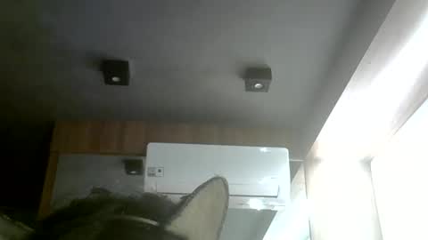 skinnykittencam online show from 05-31-26, 08:21