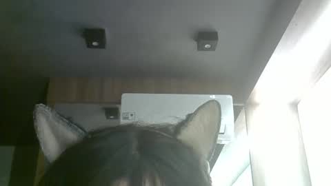 skinnykittencam online show from 06-05-26, 03:51