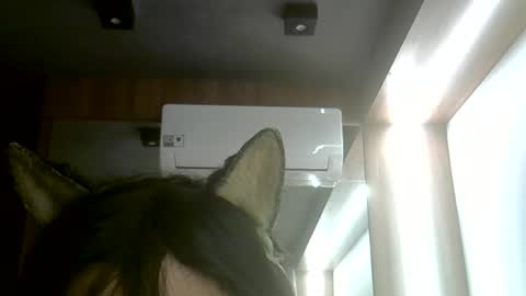 skinnykittencam online show from 06-07-26, 05:38