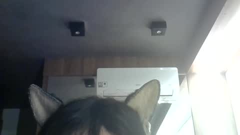 skinnykittencam online show from 06-09-26, 09:32