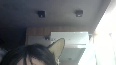 skinnykittencam online show from 06-11-26, 12:54