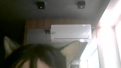 skinnykittencam online show from 06-11-26, 02:53
