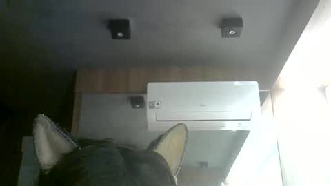 skinnykittencam online show from 06-11-26, 08:07