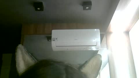 skinnykittencam online show from 06-14-26, 02:24