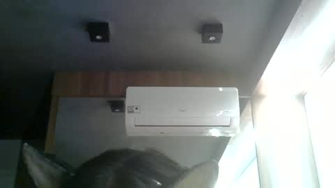 skinnykittencam online show from 06-15-26, 08:33