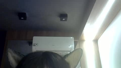 skinnykittencam online show from 06-16-26, 08:50