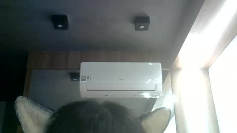 skinnykittencam online show from 06-17-26, 12:02
