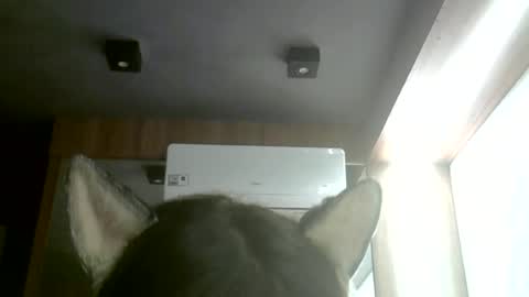 skinnykittencam online show from 06-22-26, 03:25