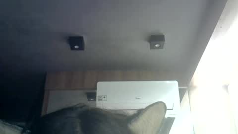 skinnykittencam online show from 06-23-26, 01:36