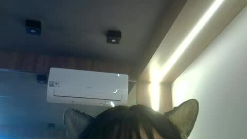 skinnykittencam online show from 06-23-26, 01:42