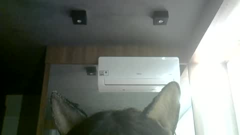 skinnykittencam online show from 06-28-26, 01:28