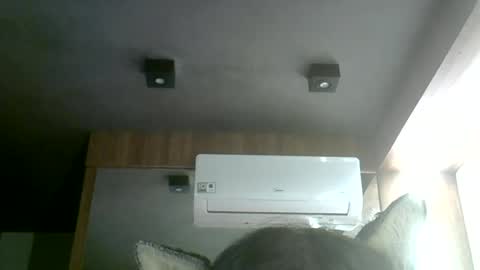 skinnykittencam online show from 07-02-26, 05:24