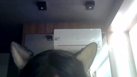 skinnykittencam online show from 07-03-26, 08:43