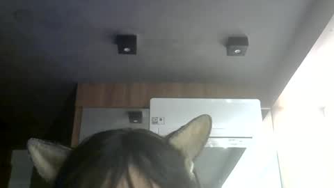 skinnykittencam online show from 07-07-26, 06:47