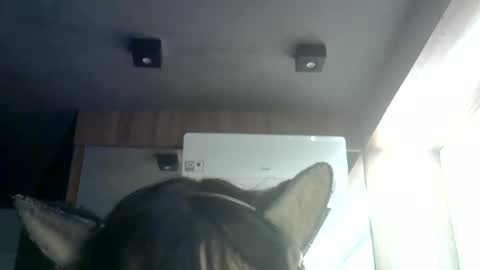 skinnykittencam online show from 07-09-26, 07:34