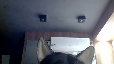 skinnykittencam online show from 07-12-26, 07:43