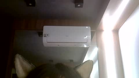 skinnykittencam online show from 07-25-26, 05:27