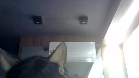 skinnykittencam online show from 07-27-26, 06:09