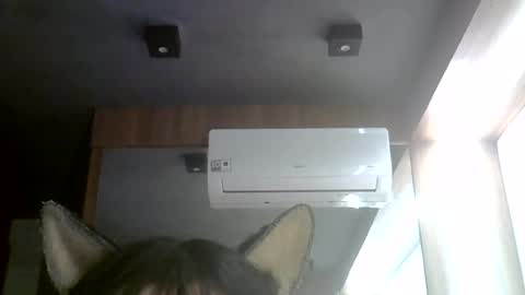 skinnykittencam online show from 07-28-26, 06:20