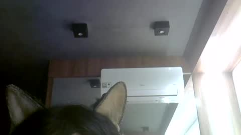 skinnykittencam online show from 07-30-26, 03:11