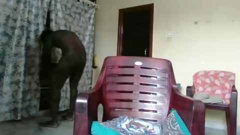 Indianslut1431 online show from 04-09-26, 07:03