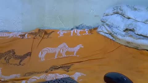 slim_girl3 online show from 11-18-25, 02:21