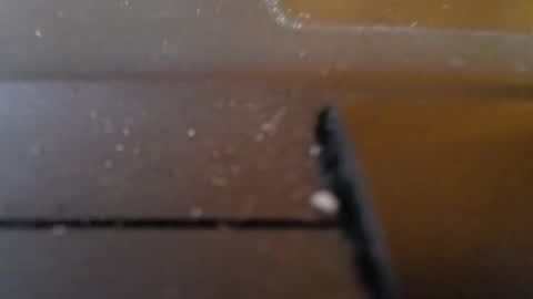 Snapshot of slimy_cunt chatting on 01-29-25, 01:27 Jemila online show from 01-29-25, 01:27