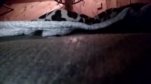 slurryyy online show from 03-29-26, 01:38