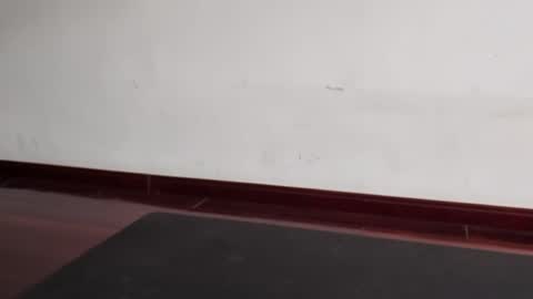 slutfactor online show from 03-31-26, 06:36