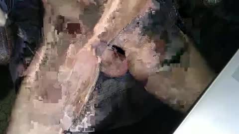 slyfast1 online show from 12-18-25, 05:02