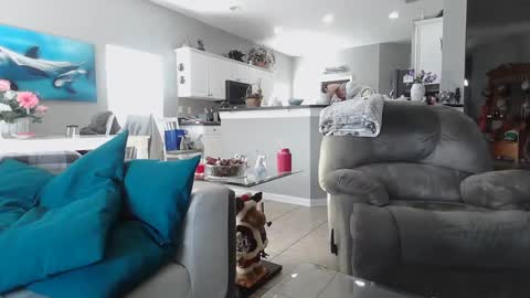 Daddy online show from 12-15-24, 07:31