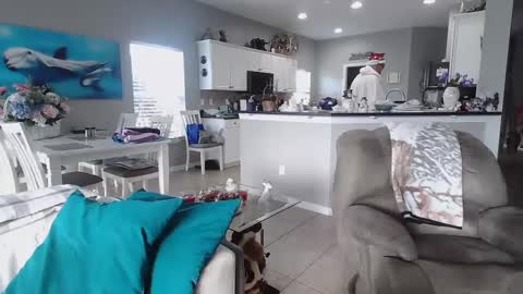 Daddy online show from 12-25-24, 02:23