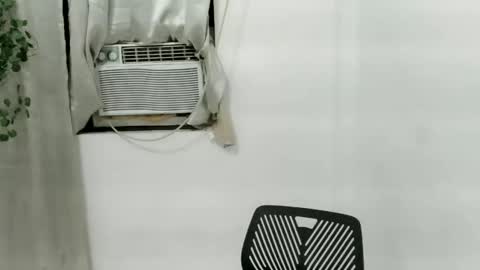 Julia online show from 11-25-25, 01:22