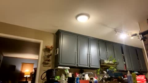 smokeymt420 online show from 02-09-25, 09:37