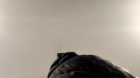 smokeymt420 online show from 02-01-26, 04:05