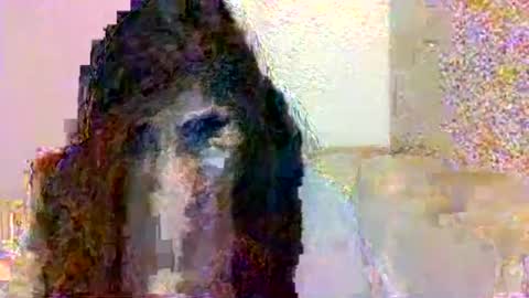 Snapshot of smurdle11 chatting on 10-25-25, 03:29 smurdle online show from 10-25-25, 03:29