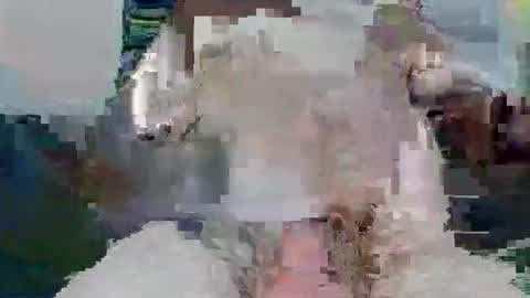 snakey boy online show from 11-26-25, 10:05