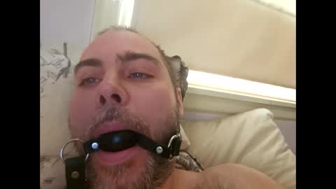 snarkymarks online show from 12-17-25, 03:51