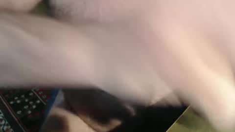 snudge432 online show from 01-04-25, 04:22