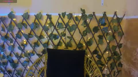 leidy online show from 12-01-25, 08:14