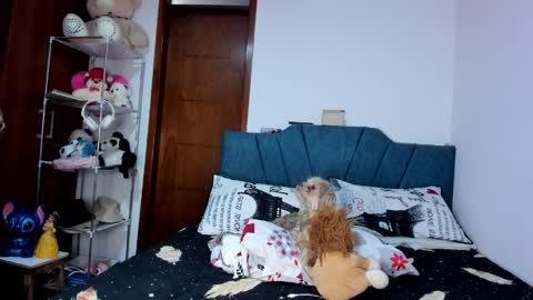 Snapshot of sofia86379 chatting on 03-17-26, 07:50 sofia86379 online show from 03-17-26, 07:50