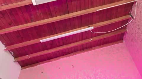 Sofia online show from 11-14-25, 03:05