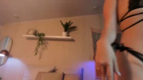 Snapshot of sofii_wild chatting on 06-19-26, 01:48 sofii_wild online show from 06-19-26, 01:48