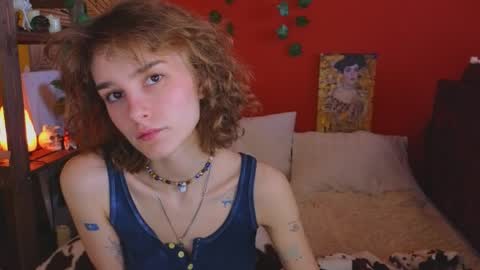 Snapshot of soft_animal chatting on 04-25-26, 09:12 E online show from 04-25-26, 09:12