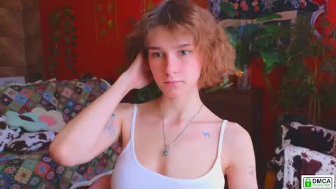 Snapshot of soft_animal chatting on 05-05-26, 08:11 E online show from 05-05-26, 08:11