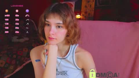 Snapshot of soft_animal chatting on 06-15-26, 11:45 E online show from 06-15-26, 11:45