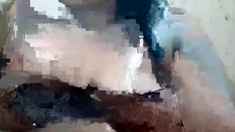 soft_bads online show from 10-09-25, 10:46